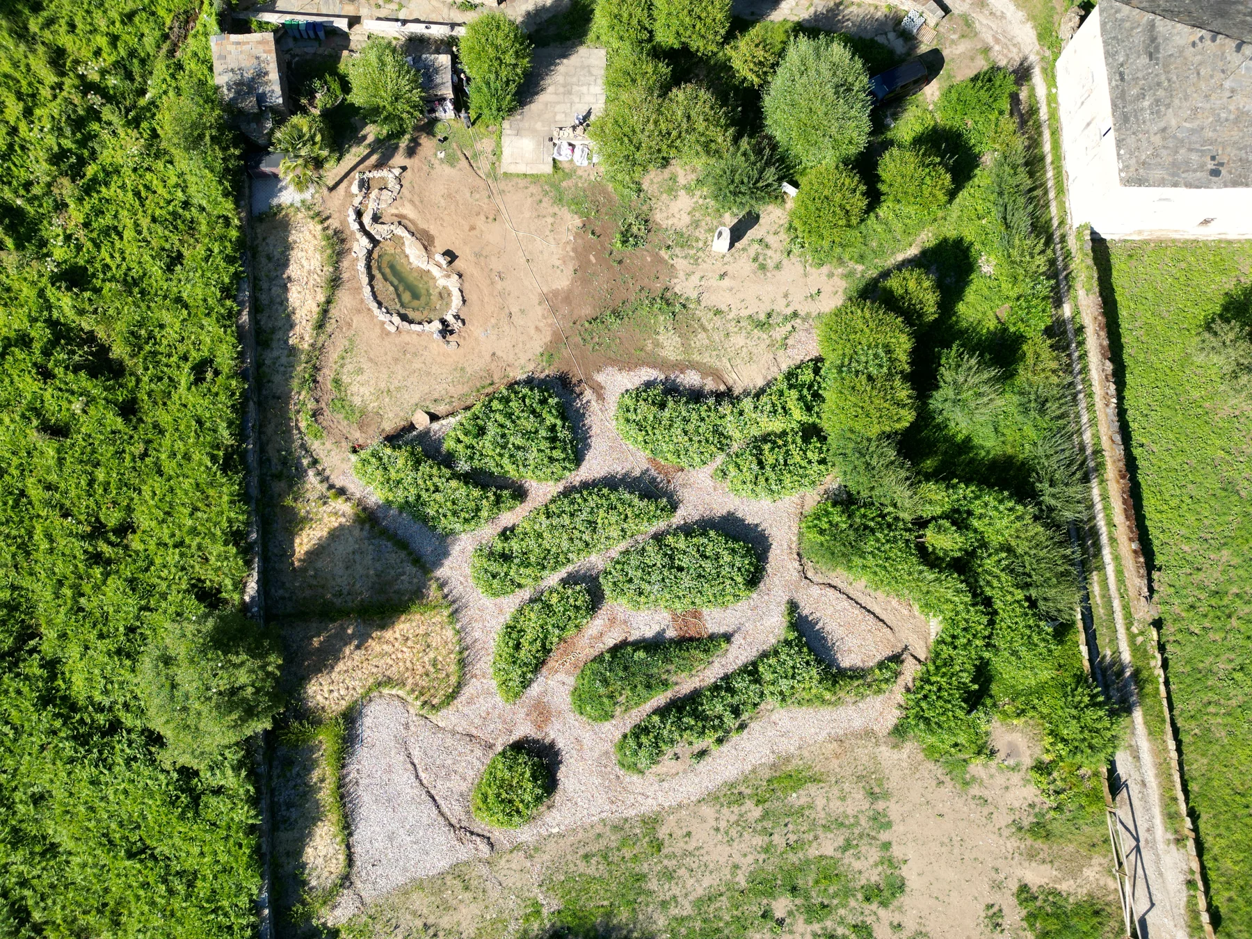 Plantación de vimbio y creación del bosque comestible · Espazo Permacultural Lugar de Reque (Lugo)