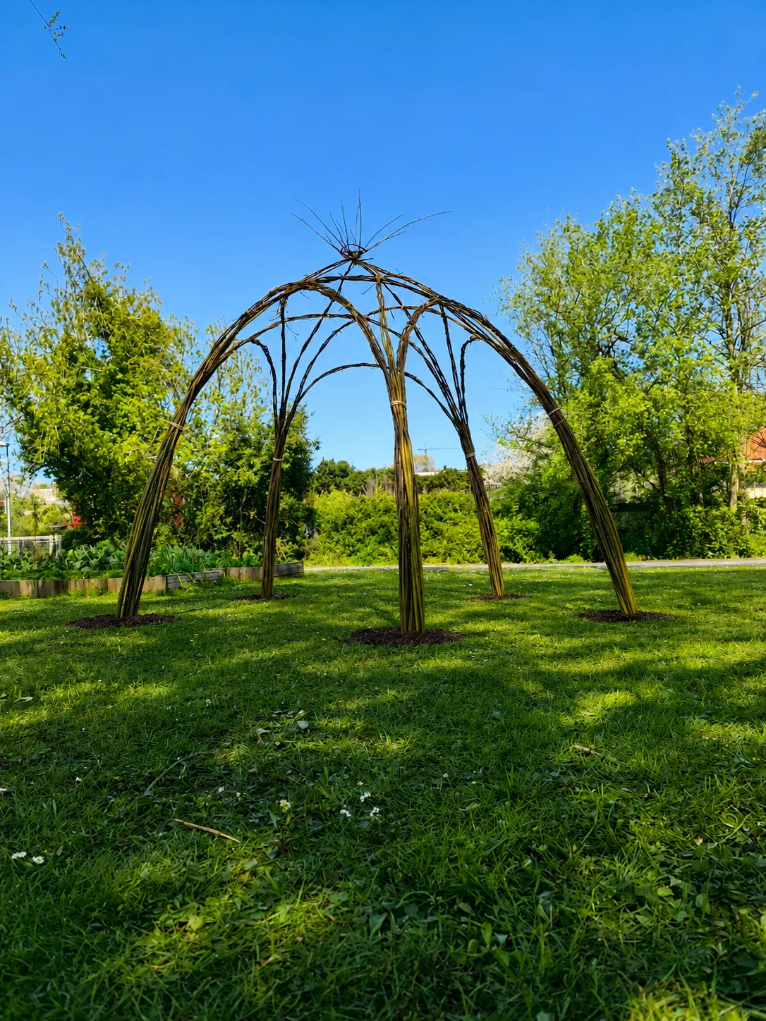 Cúpula viva con Aspadisol · A Coruña