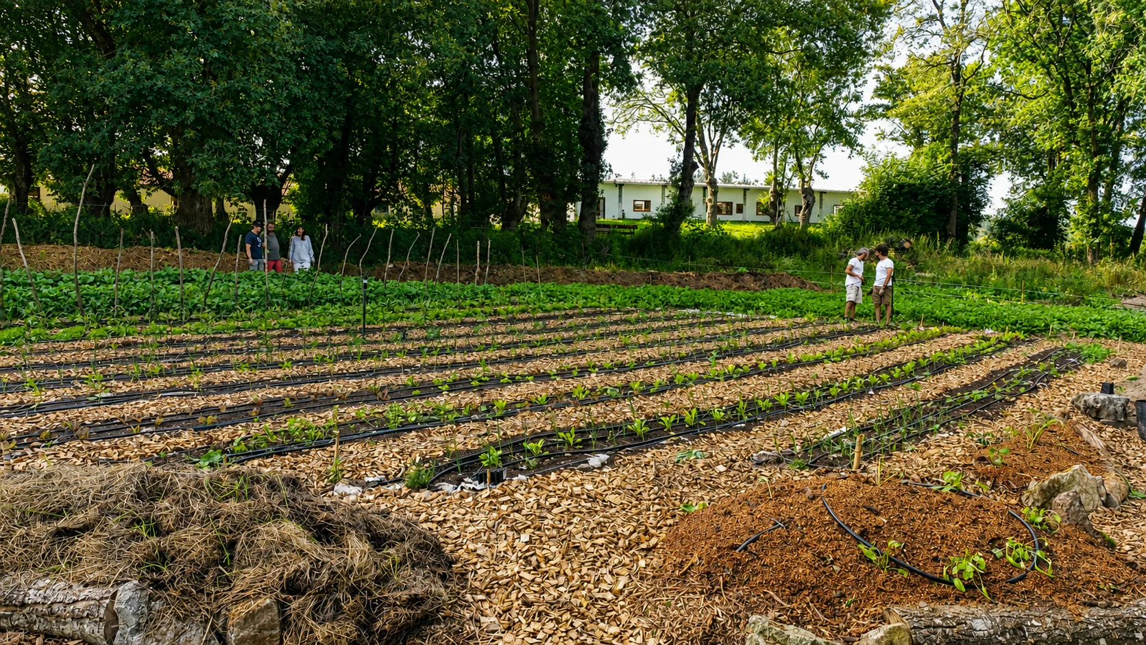 Hortas agroecolóxicas · Espazo de produción artística Os Casares (Chantada)