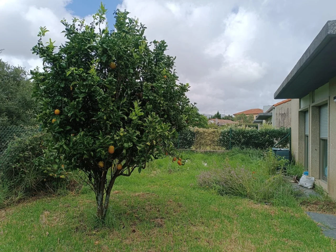 Jardín familiar en A Pobra do Caramiñal antes de la transformación