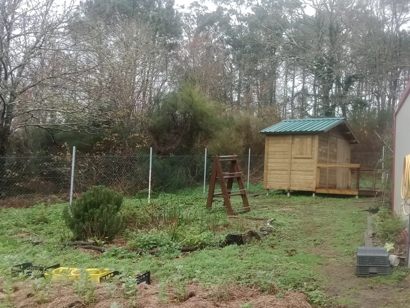 Jardín terapéutico de Noia antes de la transformación
