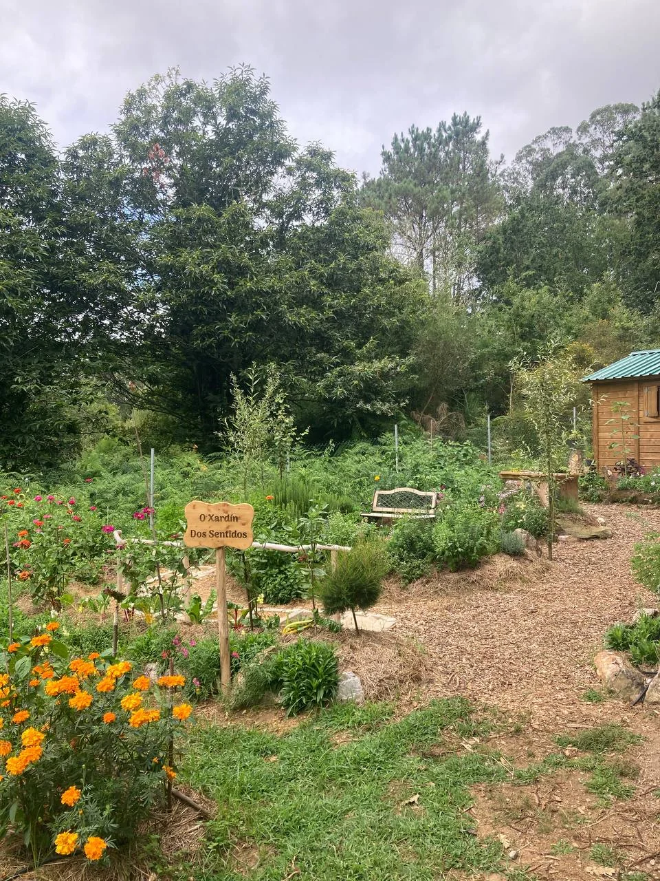 Jardín terapéutico de Noia después de la transformación