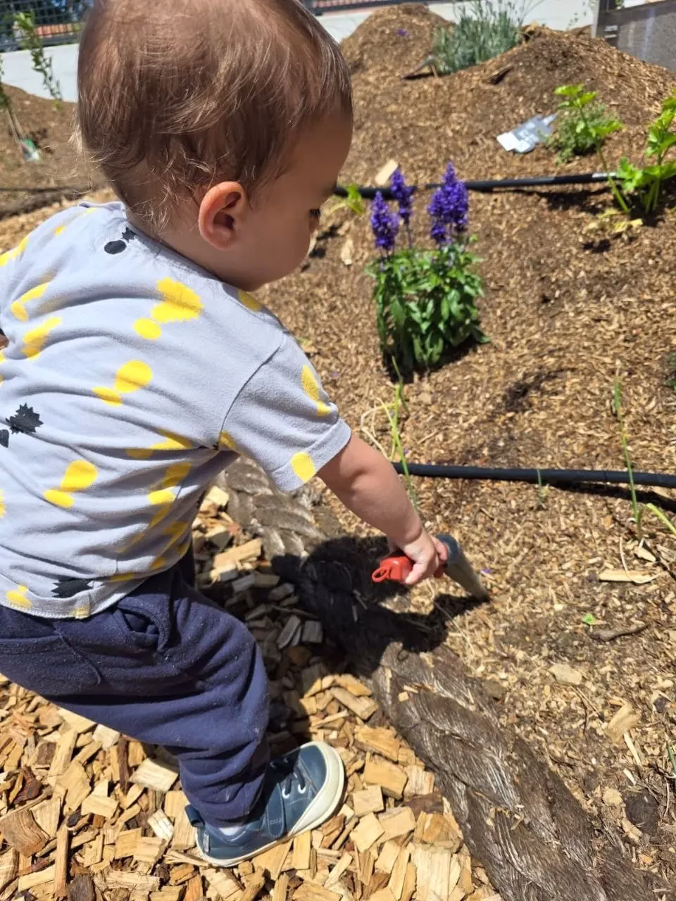Vínculo de la infancia con la naturaleza
